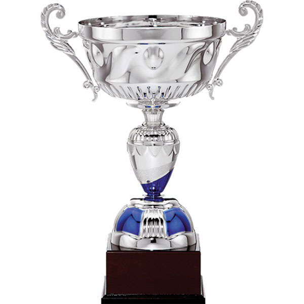 Gümüş Turnuva Kupası MTL 21